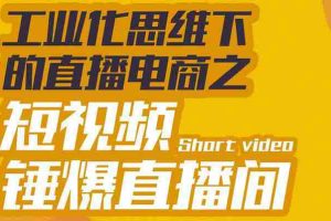 （3042期）工业化思维下的直播电商之短视频锤爆直播间，听话照做执行爆单