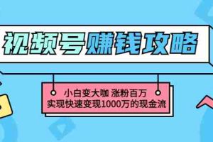 （3020期）玩转微信视频号赚钱：小白变大咖 涨粉百万 实现快速变现1000万的现金流