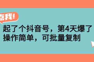 （2538期）起了个抖音号，第4天爆了！操作简单，可批量复制