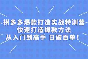 （2237期）拼多多爆款打造实战特训营：快速打造爆款方法，从入门到高手 日破百单