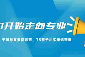 （2165期）从0开始走向专业，千川与直播间运营，75节千川实操运营课