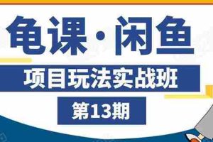 (1440期)闲鱼项目玩法实战班第13期:从0到N+方法,全程直播 现场演练(全套无水印)