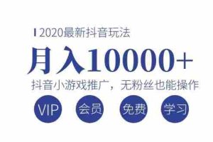 （1075期）2020最新抖音玩法：抖音小游戏推广，无粉丝也能操作，月入10000+