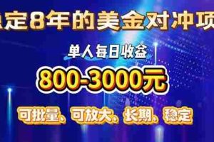 （15782期）稳定8年的美金对冲创业项目，单人每日收益800-3000，小众暴力项目