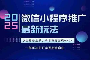 （15603期）25年下半年微信小程序推广最新玩法，轻松日入800+