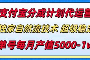 （15592期）支付宝分成计划代运营，最新自然流技术，收益稳定，单号月产5000＋！