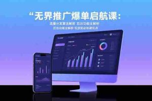 （15567期）无界推广爆单启航课：流量分发算法解密 后台功能全解析 投放前必知避坑点