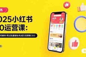 （15502期）2025小红书3.0运营课：流量密码解析/笔记批量复制/私域引流策略(更新7月)