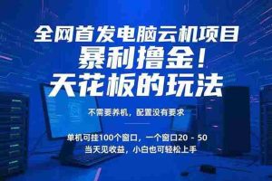 (15323期)电脑云机项目 暴力撸金玩法,不需要养机 配置没有要求 单机100个窗口一…