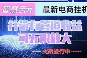 (15314期)智慧云π电脑挂机单机每天收益300—500+ 并带有团队管道收益 可无限放大