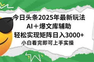 (15299期)今日头条2025年最新玩法,一键生成爆款,轻松实现矩阵日入3000+