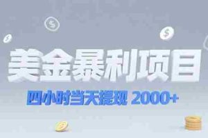 (15251期)美金暴利项目,四小时当天提现 2000+机会留给会选赛道的人