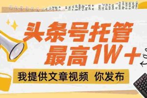 (15222期)【头条号托管 】团队提供文章视频,你发布,每天5分钟,最高躺挣1W+