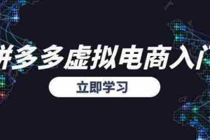（15158期）拼多多虚拟电商入门，精准选品方法论，无货源模式起盘技巧