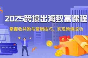 （14898期）2025跨境出海致富课程，掌握收并购与营销技巧，实现跨境成功
