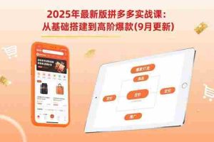 （15899期）2025年最新版拼多多实战课：从基础搭建到高阶爆款（9月更新）