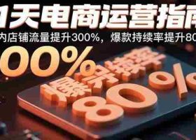 （15957期）21天电商运营指南：21天内店铺流量提升300%，爆款持续率提升80%