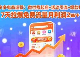 （15960期）拼多多电商运营：微付费起店+活动引流+爆款打造 7天拉爆免费流量月利润2w+