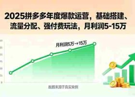 （15973期）2025拼多多年度爆款运营，基础搭建、流量分配、强付费玩法，月利润5-15万