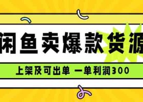 （15977期）闲鱼卖爆款货源，每天利润1000，上架即出单