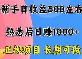 （15978期）一台电脑，前期日收益300-500，熟练后日入1000左右