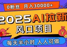 （15984期）2025AI拉新风口项目，0粉0基础月入30000+新手小白轻松学会