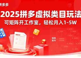 （15986期）2025拼多多虚拟类目玩法，可矩阵开工作室，轻松月入1-5W