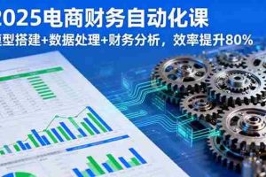 （16021期）2025电商财务自动化课，模型搭建+数据处理+财务分析，效率提升80%