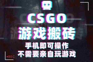 （16090期）CSGO游戏挂机捡漏，单日扫货500+，年底小高峰上车可吃肉，手机即可操作…