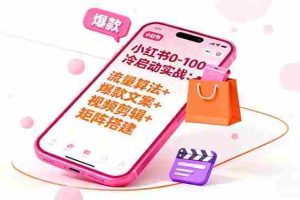 （16298期）小红书0-100冷启动实战：流量算法+爆款选品+爆款文案+视频剪辑+矩阵搭建