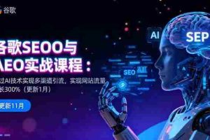 （16463期）谷歌SEO与AEO实战课程：通过AI技术实现多渠道引流，实现网站流量增长300%