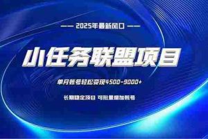 (16521期)小任务联盟项目:一台电脑每天只需10分钟,轻松简单稳定