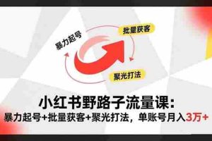 (16513期)小红书野路子流量课:暴力起号+批量获客+聚光打法,单账号月入3万+