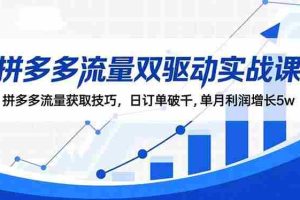 (16563期)拼多多流量双驱动实战课:拼多多流量获取技巧,日订单破千,单月利润增长5w